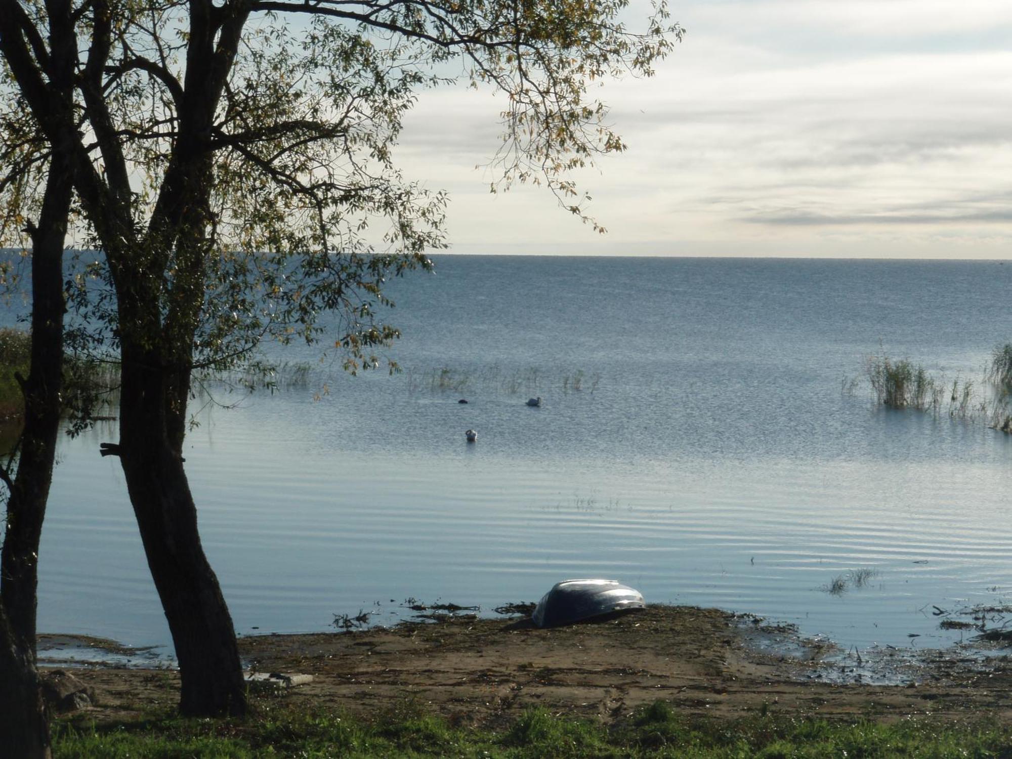 Kalameeste maja Mustvee Buitenkant foto