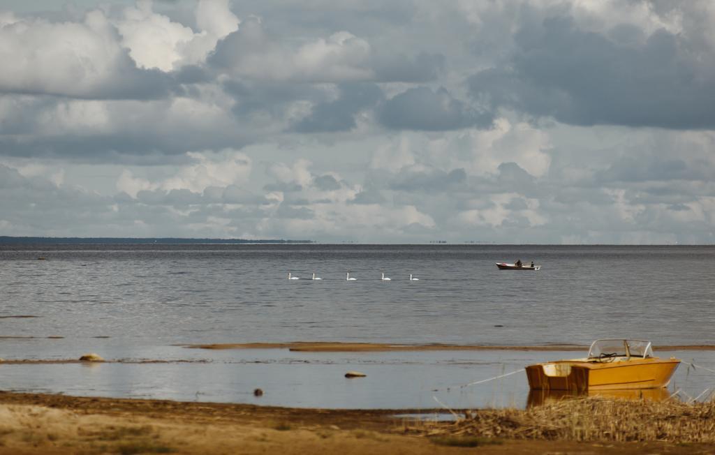 Kalameeste maja Mustvee Buitenkant foto
